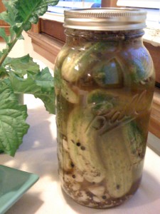 Fermented foods, pickles, pickled "cukes"