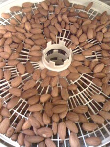 Almond flour, dehydrated almonds
